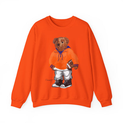 CHAMPAIGN, ILLINOIS TEDDY SWEATSHIRT