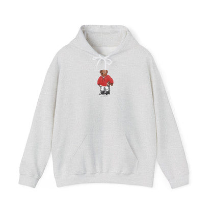 NEW BRUNSWICK TEDDY HOODIE