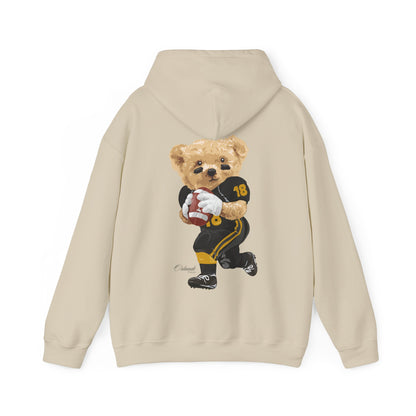 ORLANDO FLORIDA TEDDY HOODIE