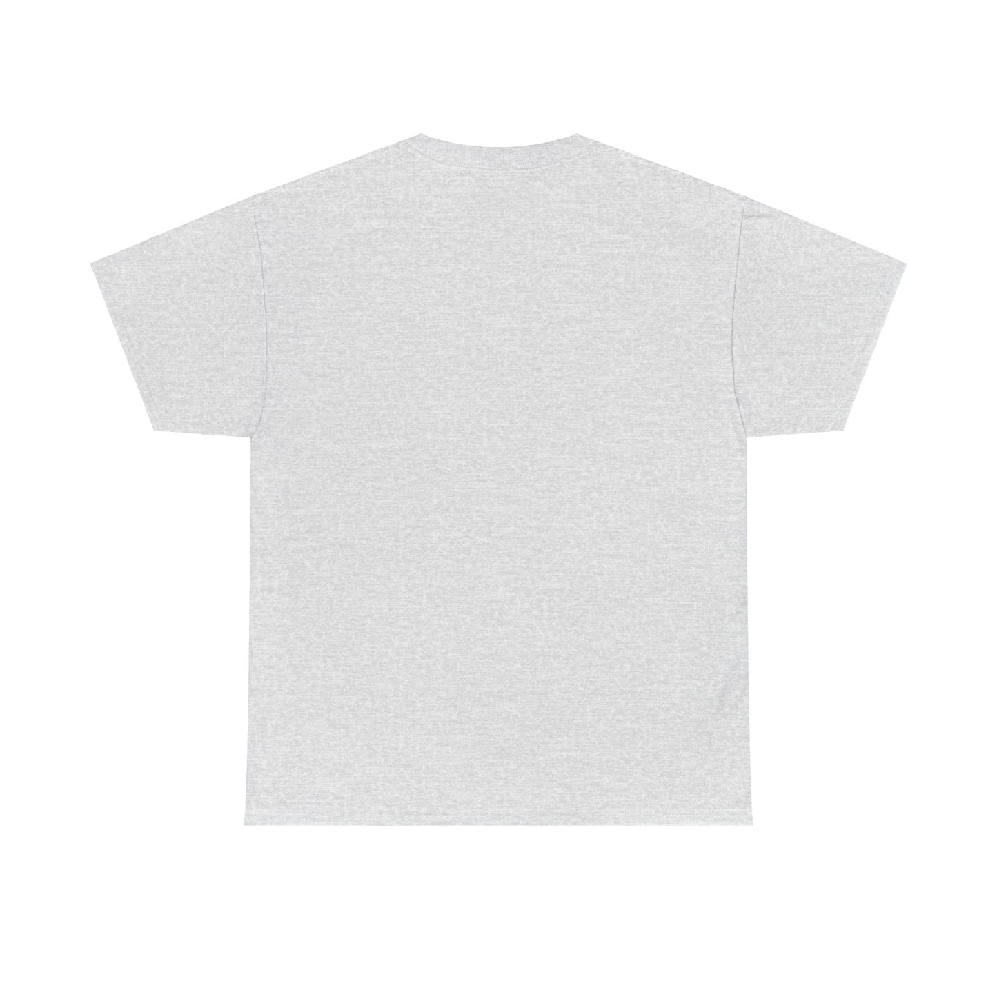 ORLANDO FLORIDA TEDDY T-SHIRT