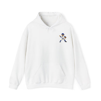 CHICAGO BASEBALL TEDDY HOODIE