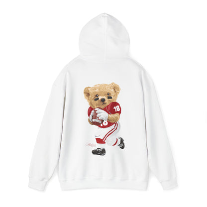 MADISON WISCONSIN TEDDY HOODIE