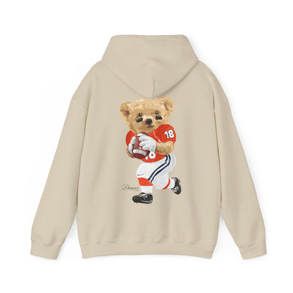 DENVER COLORADO TEDDY HOODIE