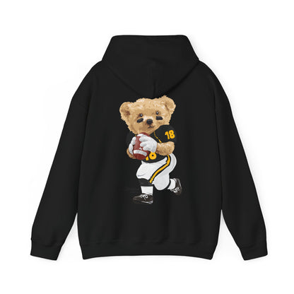 PITTSBURGH PENNSYLVANIA TEDDY HOODIE
