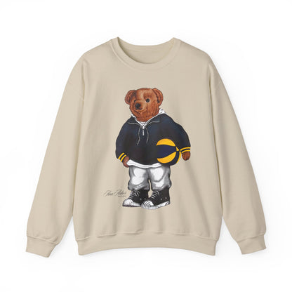 ANN ARBOR BASKETBALL TEDDY SWEATSHIRT