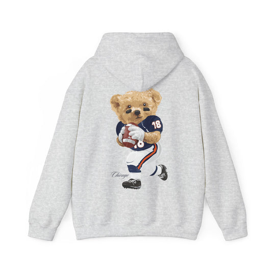 CHICAGO TEDDY HOODIE