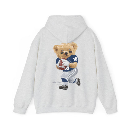 STATE COLLEGE PENNSYLVANIA TEDDY HOODIE