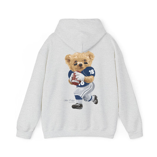 STATE COLLEGE PENNSYLVANIA TEDDY HOODIE