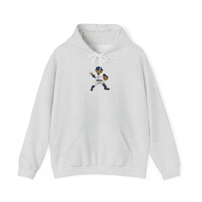 BOSTON BASEBALL TEDDY HOODIE