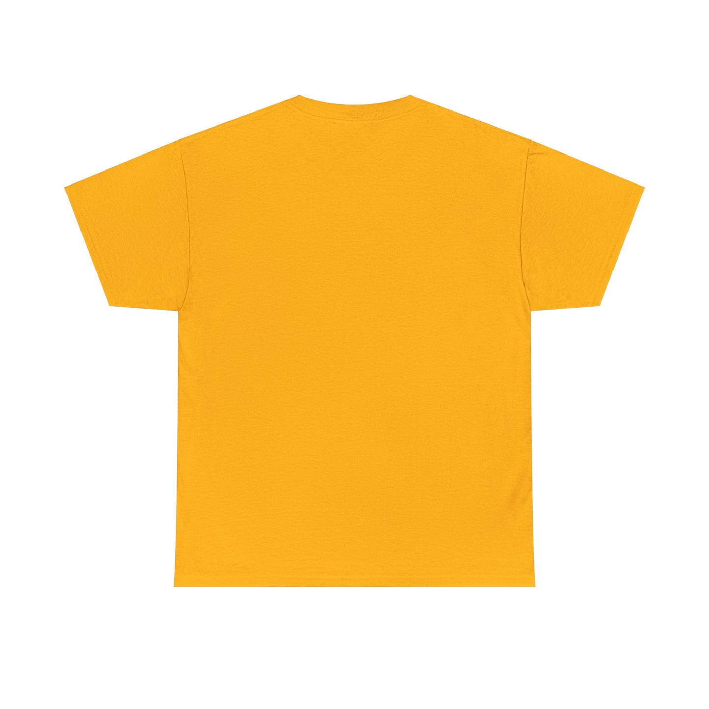 ORLANDO FLORIDA TEDDY T-SHIRT