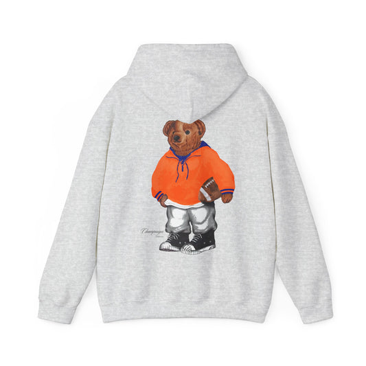 CHAMPAIGN, ILLINOIS TEDDY HOODIE