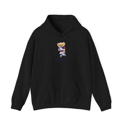 GAINESVILLE FLORIDA TEDDY HOODIE