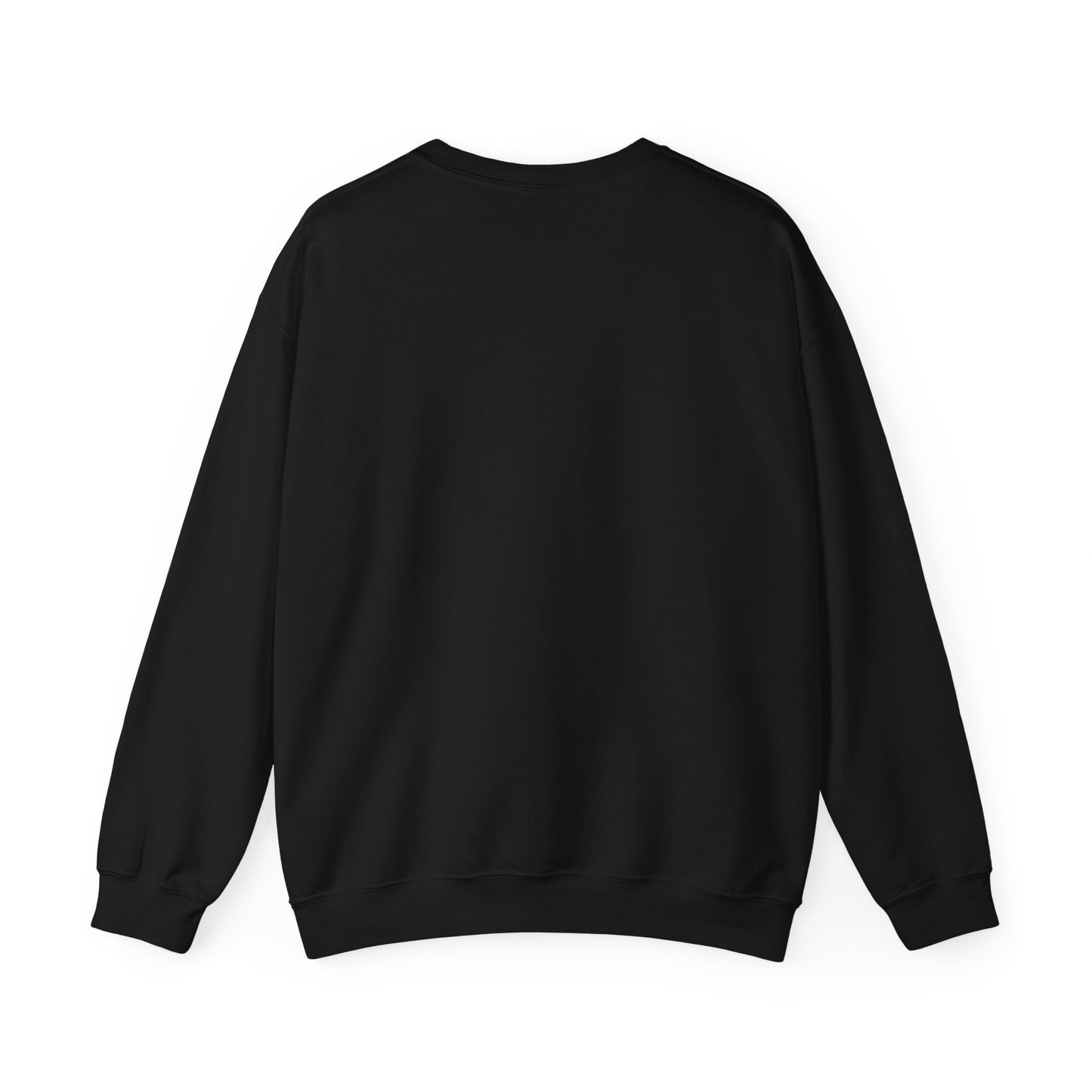 COLUMBIA, SOUTH CAROLINA SWEATSHIRT