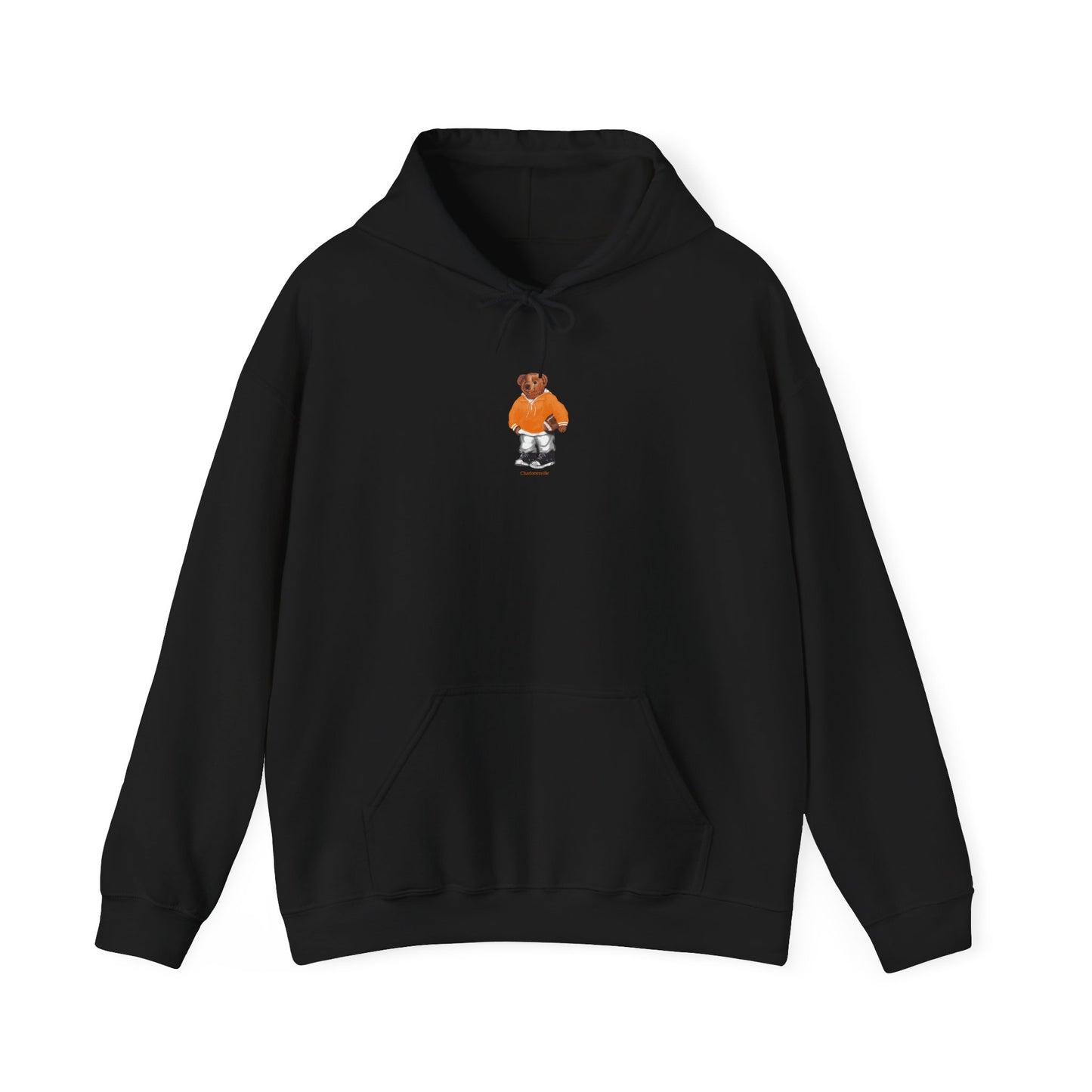 CHARLOTTESVILLE, VIRGINIA HOODIE