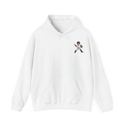 DETROIT BASEBALL TEDDY HOODIE