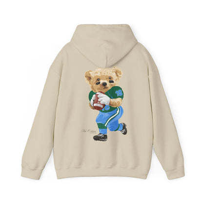 NEW ORLEANS, LOUISIANA TEDDY HOODIE