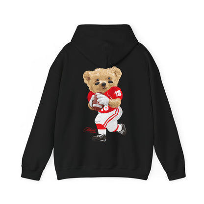 ATHENS GEORGIA TEDDY HOODIE