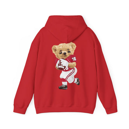 NEW BRUNSWICK TEDDY HOODIE