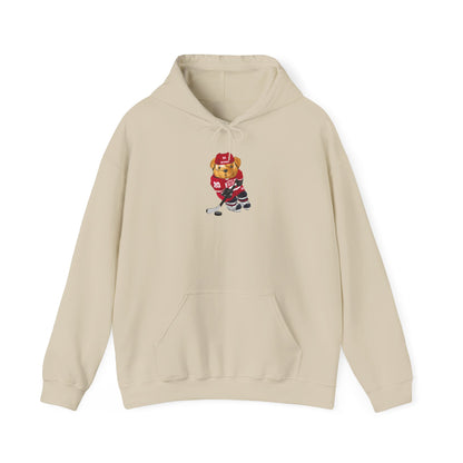 DETROIT MICHIGAN TEDDY HOODIE