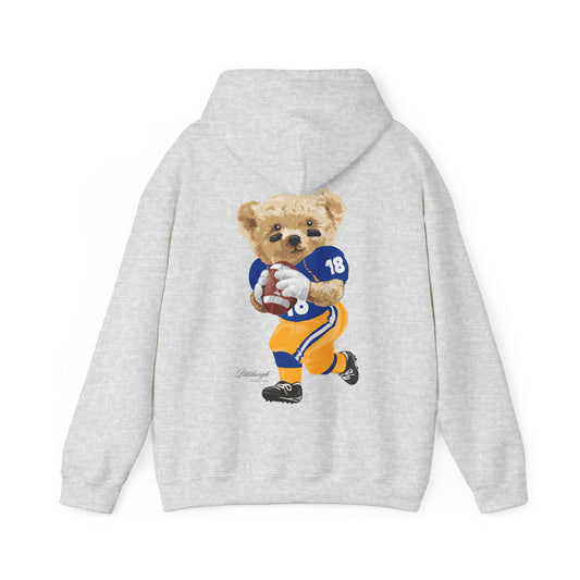 PITTSBURGH, PENNSYLVANIA TEDDY HOODIE