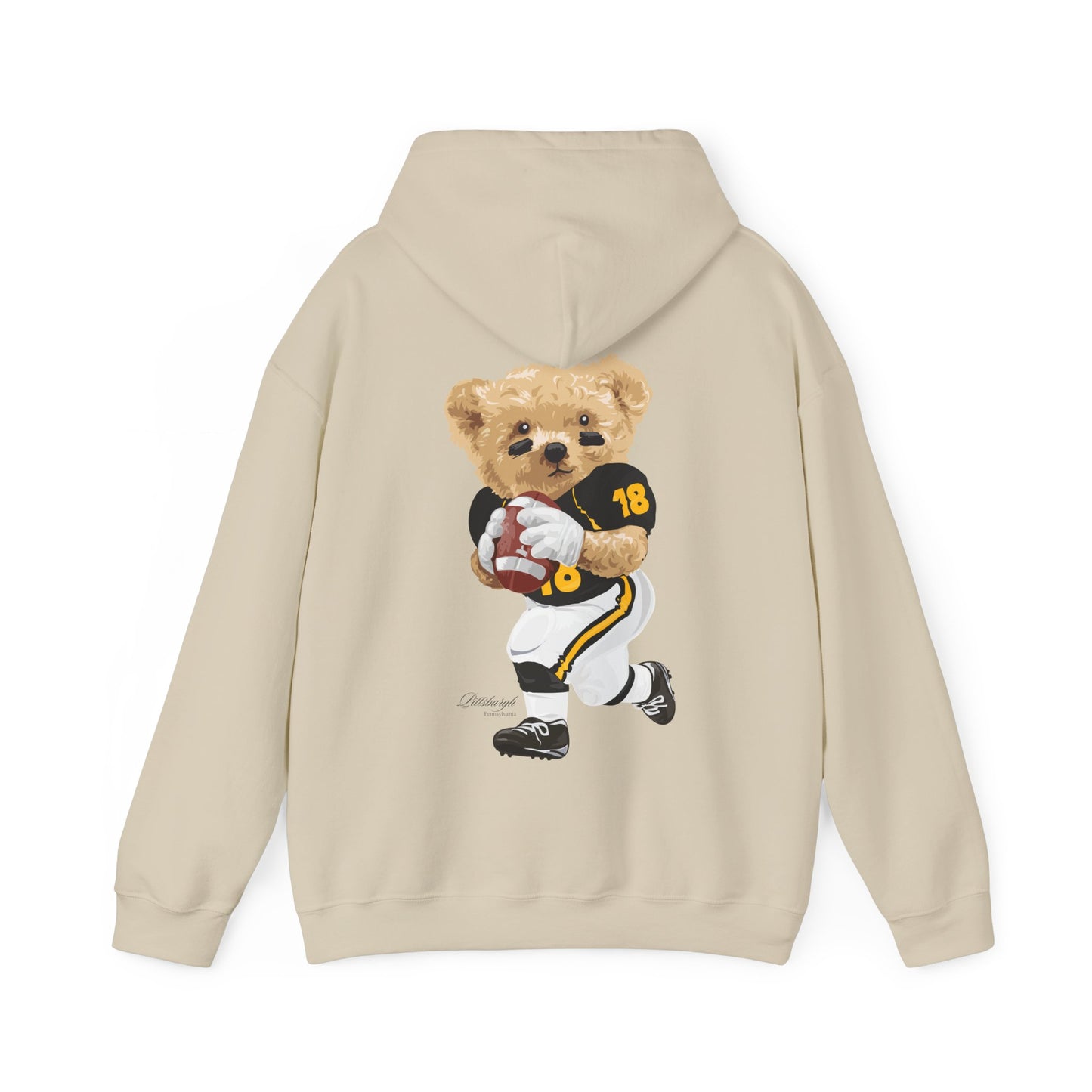 PITTSBURGH PENNSYLVANIA TEDDY HOODIE
