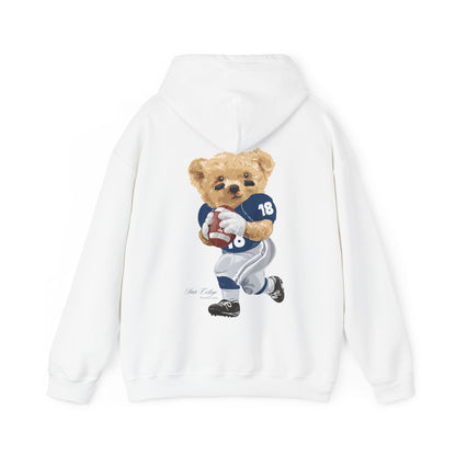 STATE COLLEGE PENNSYLVANIA TEDDY HOODIE