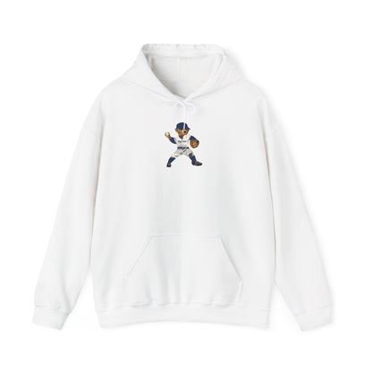 BOSTON BASEBALL TEDDY HOODIE