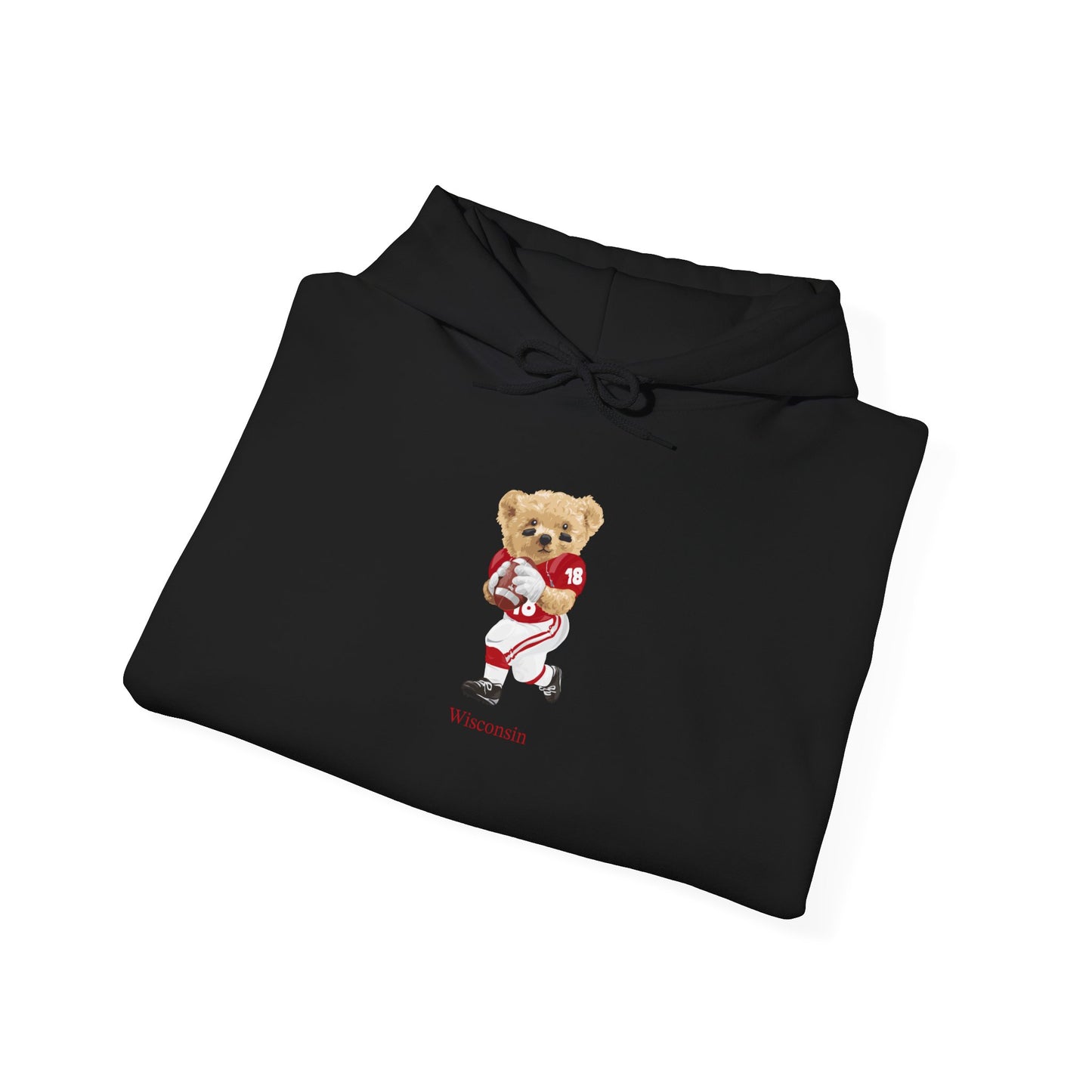 MADISON WISCONSIN TEDDY HOODIE