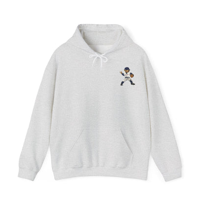 DETROIT BASEBALL TEDDY HOODIE