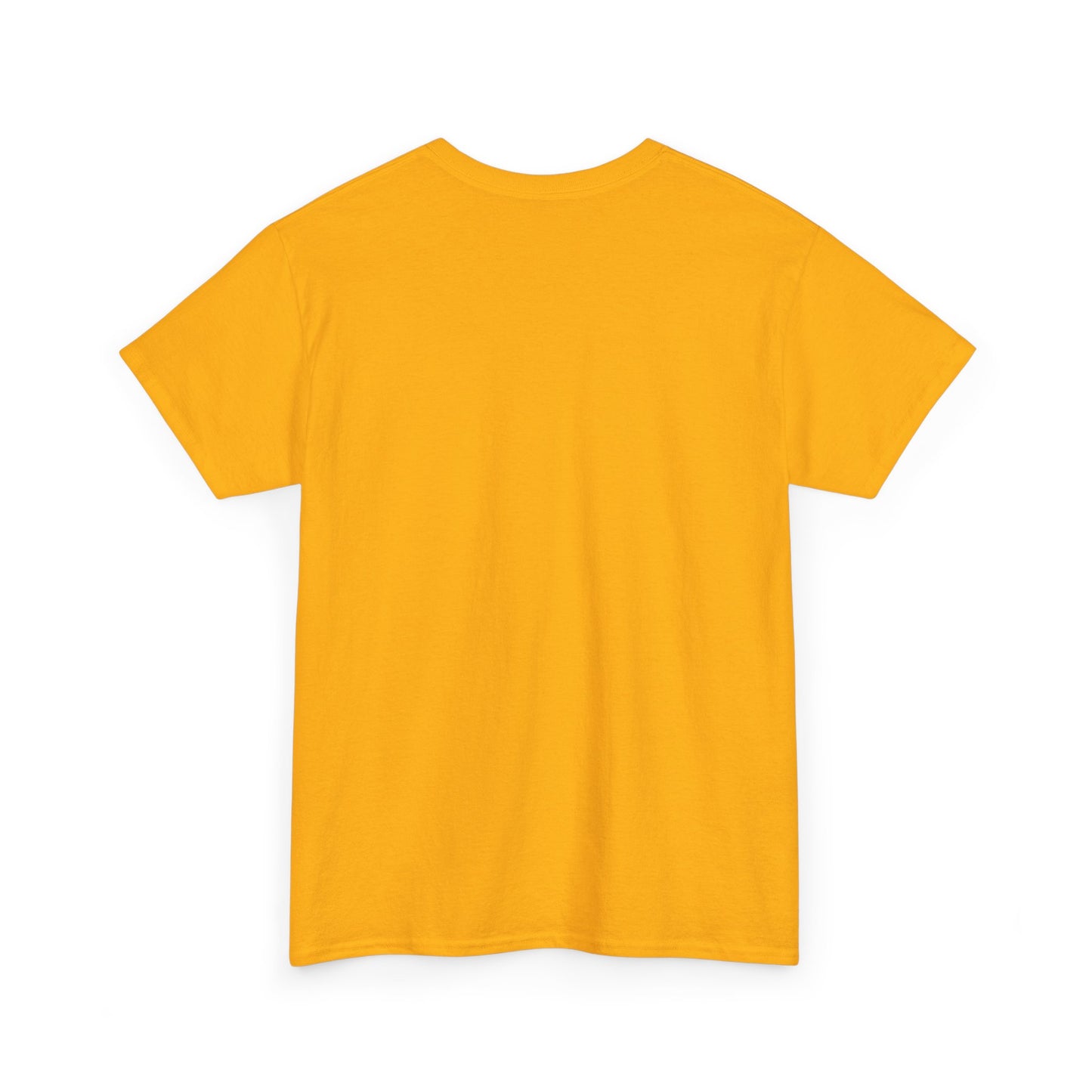 ORLANDO FLORIDA TEDDY T-SHIRT