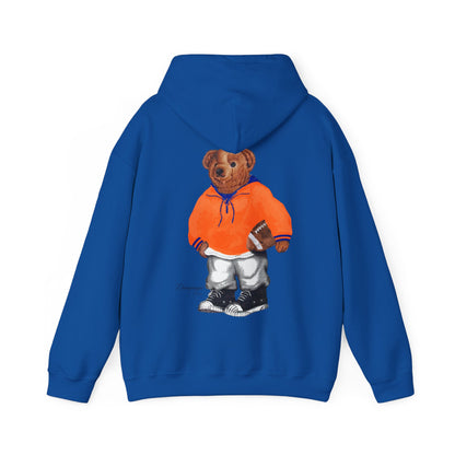 CHAMPAIGN, ILLINOIS TEDDY HOODIE