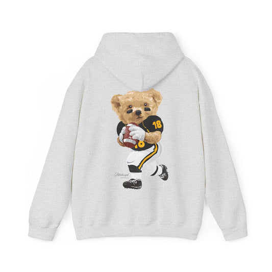 PITTSBURGH PENNSYLVANIA TEDDY HOODIE