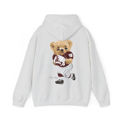 COLLEGE STATION TEXAS TEDDY HOODIE