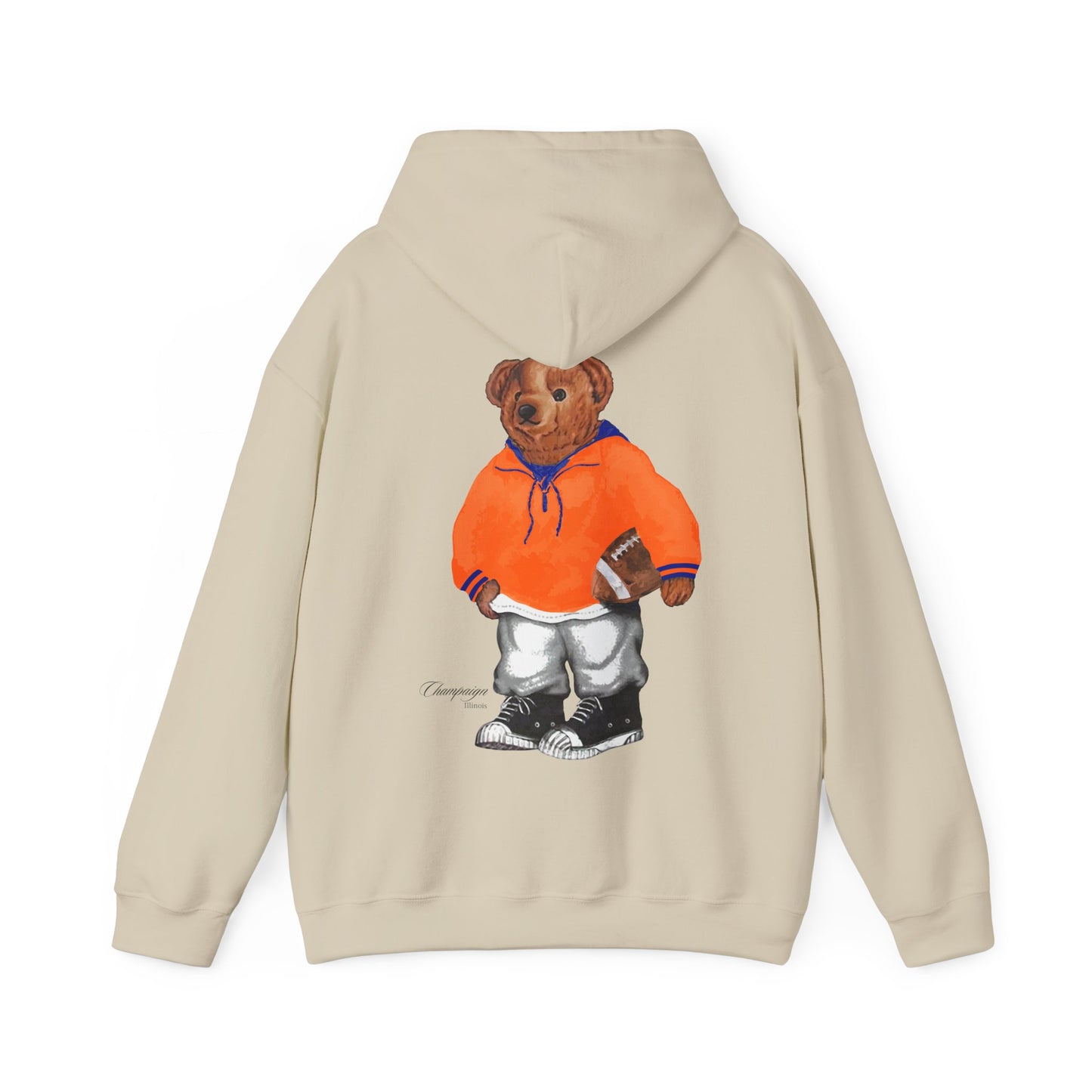 CHAMPAIGN, ILLINOIS TEDDY HOODIE
