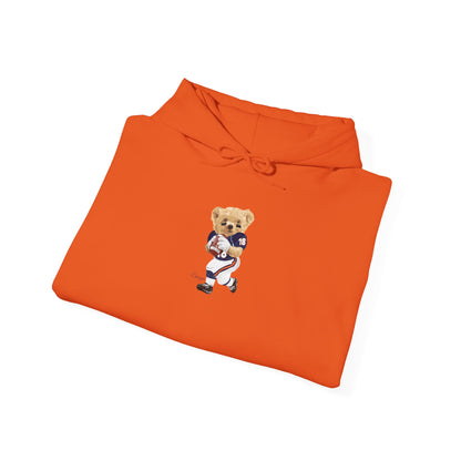 CHICAGO TEDDY HOODIE